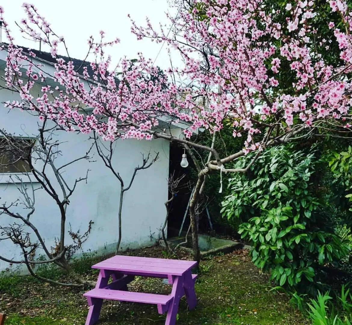 Holiday home Charming House In Concise Villa Thonon-les-Bains